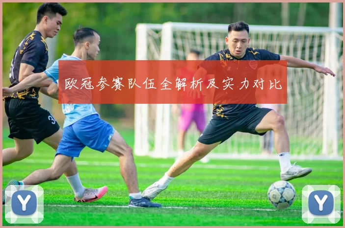 欧冠参赛队伍全解析及实力对比